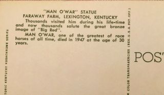 Race Horse Man O ' War Statue Faraway Farm Lexington KY Postcard Kentucky Curteich 3