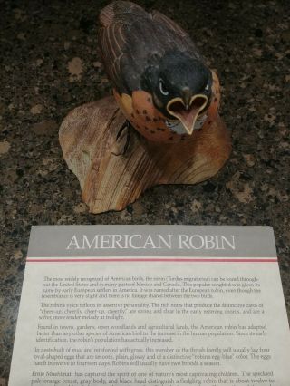 Danbury Baby Birds American Robin