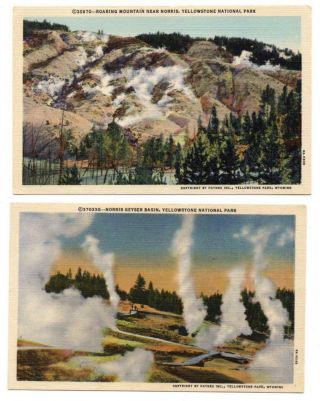 2970: Yellowstone Park Norris Geyser Basin,  Roaring Mountain C1936 Postcards 2