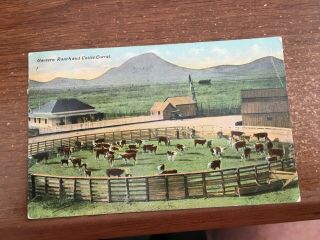 Western Canada On A Cattle Ranch,  Old Postcard 1911 Mailed From Calgary