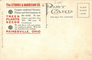 Painesville Ohio c1910 Advertising Postcard Storr & Harrison Trees Plants Seeds 2