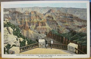 Arizona Postcard Grand Canyon From North Rim Lodge Union Pacific Railroad Roto