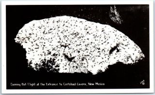 Carlsbad Caverns Np Mexico Rppcs Photo Postcard " Evening Bat Flight " C1940s