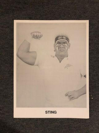 Sting Wcw World Championship Wrestling 1998 B&w 8.  5x11 Nwa Tna Rainbow
