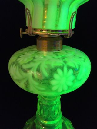 Vaseline Uranium Glass Oil Lamp Mosser Base Fern & Daisy Font Opalescent Shade 4