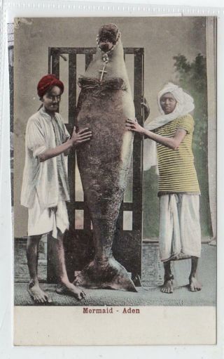 Mermaid: Aden Postcard (c30658)