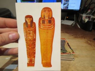 Vintage Old Postcard Illinois Chicago Natural History Egyptian Mummy Coffin Lady