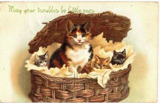 May Your Troubles Be Small Ones,  Mother Cat With Kittens In Basket 1906