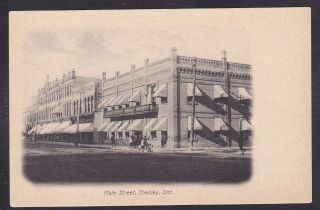 Circa 1907 - 1915 Vintage Postcard Main Street,  Chesley,  Ontario,  Canada