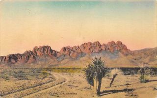 Organ Mountains,  Mexico Desert Scene Albertype Hand - Colored Postcard