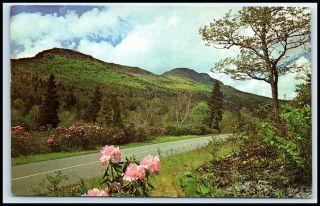 North Carolina Postcard - Grandfather Mountain,  Blue Ridge Parkway F19