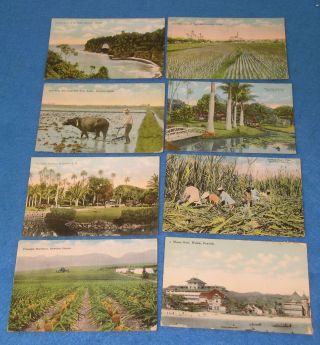 8 Hawaii Territory Postcards Moana Hotel Onomea Arch Sugar Mill Moanalua Gardens