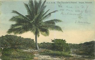 1907 Inagua Bahamas Travelers Friend Palm Tree Caribbean Postcard