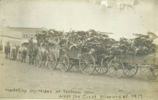 Texhoma Texas County Oklahoma Marketing Dry Hides Ranchers 1912 Postcard