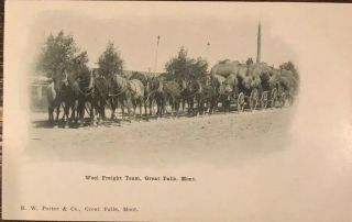 Wool Freight Team Horses Great Falls Montana Postcard 1907 Unposted Near