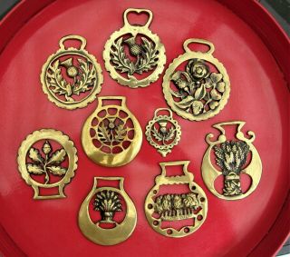 9 Vintage English Horse Brass Medallions Thistle Rose Wheat Acorn Oak Leaf Palms