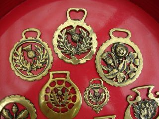 9 Vintage English Horse Brass Medallions Thistle Rose Wheat Acorn Oak Leaf Palms 2
