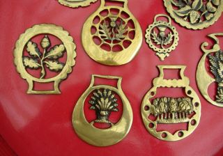 9 Vintage English Horse Brass Medallions Thistle Rose Wheat Acorn Oak Leaf Palms 3