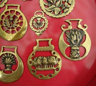 9 Vintage English Horse Brass Medallions Thistle Rose Wheat Acorn Oak Leaf Palms 4