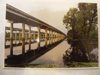 Vintage Postcard Of The Atchafalaya Basin Mississippi Valley