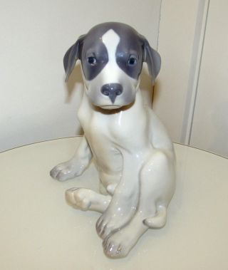 Rare Royal Copenhagen Denmark Puppy Dog 8 " Porcelain Figurine 051 " Gb " Sign