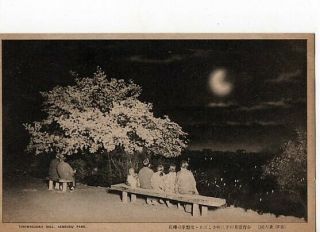 Old Japan Pc - Viewing The Moon In Kenroku Park (kanazawa) / Early Showa Era
