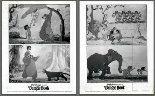 Rare Press Publicity Photo Still 8x10 Mowgli And Baloo Animated The Jungle Book