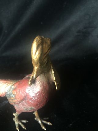 Antique Austrian Cold Painted Bronze Golden Pheasant 10” Long Bergman? 3