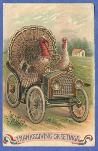 Tom And Hen Turkeys Drive Antique Car Embossed Thanksgiving Postcard 1908