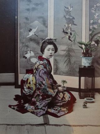 c1870 - 90s JAPAN LARGE Albumen ALBUM Natives Landscapes TOKYO Nagasaki F.  Beato 10