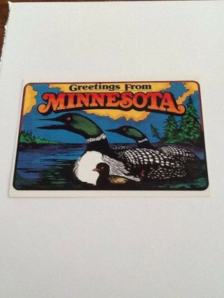 Postcard Vintage Greetings From Minnesota,  Common Loon