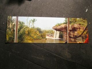 Rare Vtg Large Panoramic Postcard Disneyland Magic Kingdom Adventureland Falls