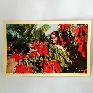 Vintage Postcard Poinsettia Redhead Beauty Florida Mid Century 1950s Kodachrome