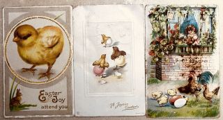 3 Antique Embossed “baby Chick” Postcards—1911,  1913,  1914