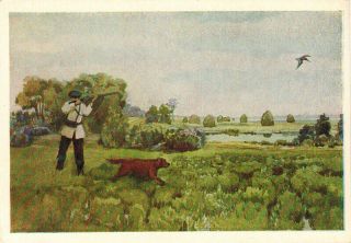 1954 Rare Russian Postcard Hunter With Rifle Dog Great Snipe By A.  Polyushenko