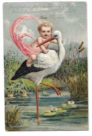 Baby Riding Stork Embossed Posted Birth Announcement Divided Postcard