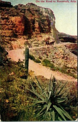 Vintage Postcard " On The Road To Roosevelt Arizona " Desert Cactus Dirt Road Lake