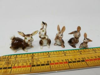 Vintage 5 Pc.  Rabbit Family Miniature Figurines Bone China