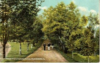 1911 The Main Promenade At Virginia Tech In Blacksburg,  Va Virginia Pc