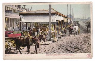 Orlean Louisiana Udb Postcard French Market Detroit Publishing Co.