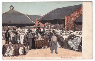 Orlean Louisiana Udb Postcard Weighting Cotton Cotton Bales Workers