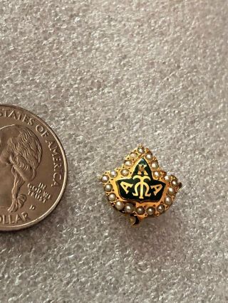 10k Solid Gold Alpha Kappa Alpha Sorority Pin Badge W/seed Pearls