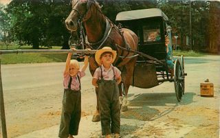 Postcard Greetings From The Amish Country,  Children Waiting For Father