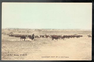 1907 A Cut Cattle Horse At Work Huffman Milestown Montana Postcard