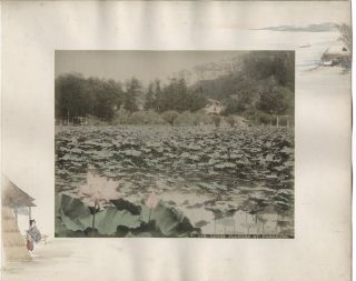 C.  1890 Photo - Japan Tamamura Studio Decorated Page - Lotus Flowers