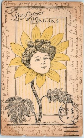 1906 Artist - Signed Allsley Kansas Postcard " A Sunflower " Pretty Lady 