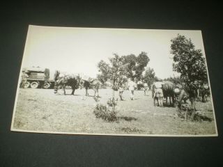 Social History Iraq Region Of Kurdistan 1931 (info On Back) Photo Postcard 7