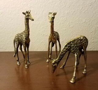 3 Vintage Giraffe Figurines Solid Brass 5 " Tall