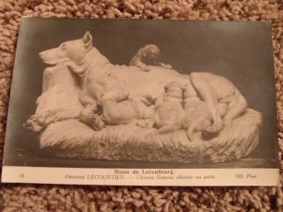 Vintage Postcard Musee De Luxembourg Prosper Lecourtier Mother Dog Pups