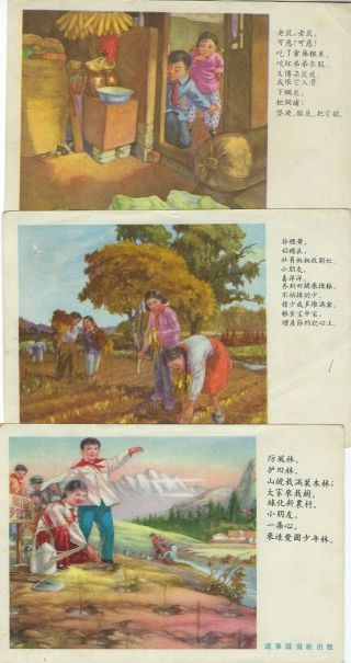 China 1950 - 60s group of 13 propaganda cards stamped in Tibet 7